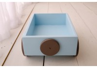 Jeep de Madeira Azul