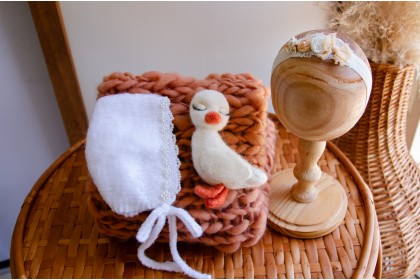 Kit Cisne