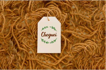 Tag Decorativa para Fotografia Newborn – Cheguei