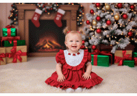 Vestido Noelle (Sob encomenda)