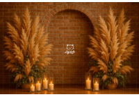 FA25FD01| Fundo fotográfico em tecido | Fine Art: Arco e pampas